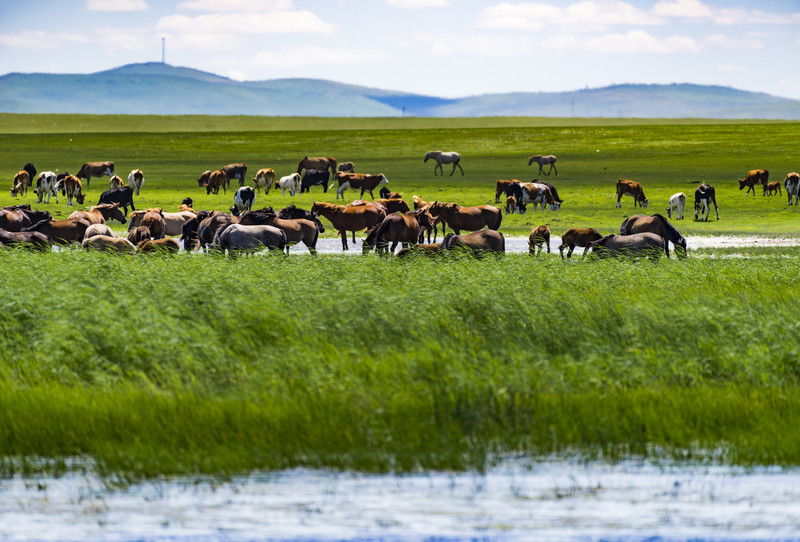 外交部发言人谈内蒙古发展成就