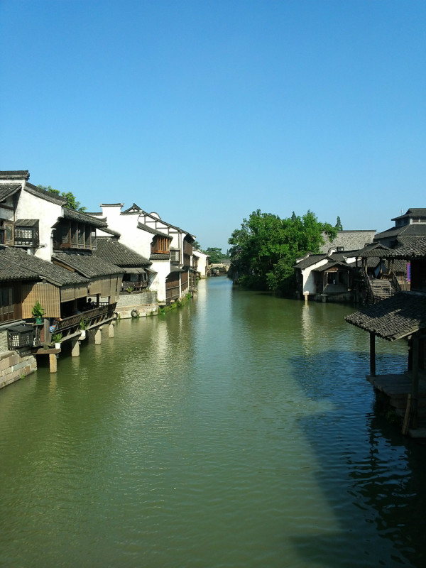 浙江小巷深处的美食秘境，探寻神秘美味天堂