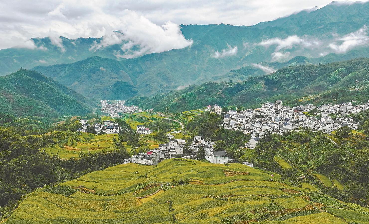 安徽省发展的全面解析与评论