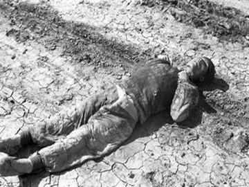 探寻河南，古老与现代交融的土地