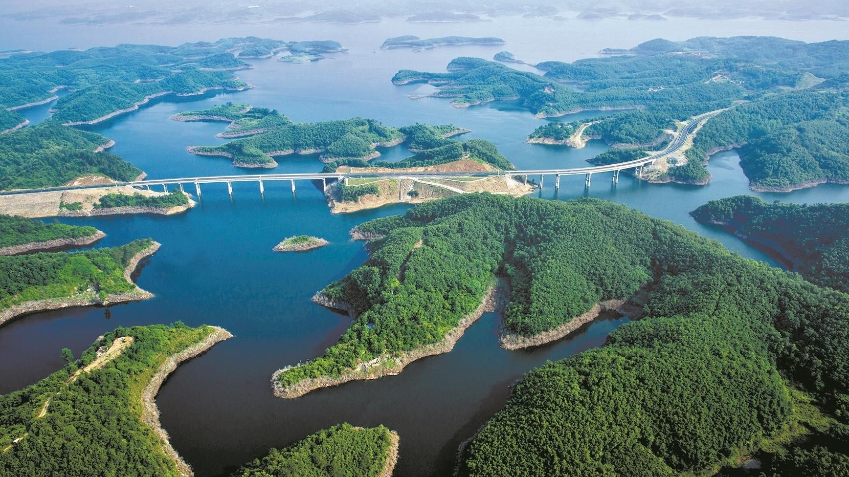 高效攻略，湖北之旅，轻松掌握XX技能/完成XX任务