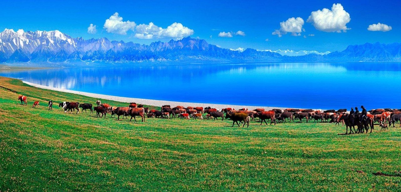 新疆，多元融合之魅力所在