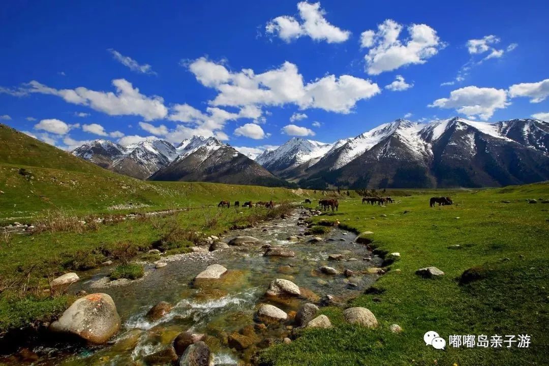 新疆，多元文化瑰宝与自然奇观交融之地